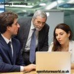 american technology consulting​