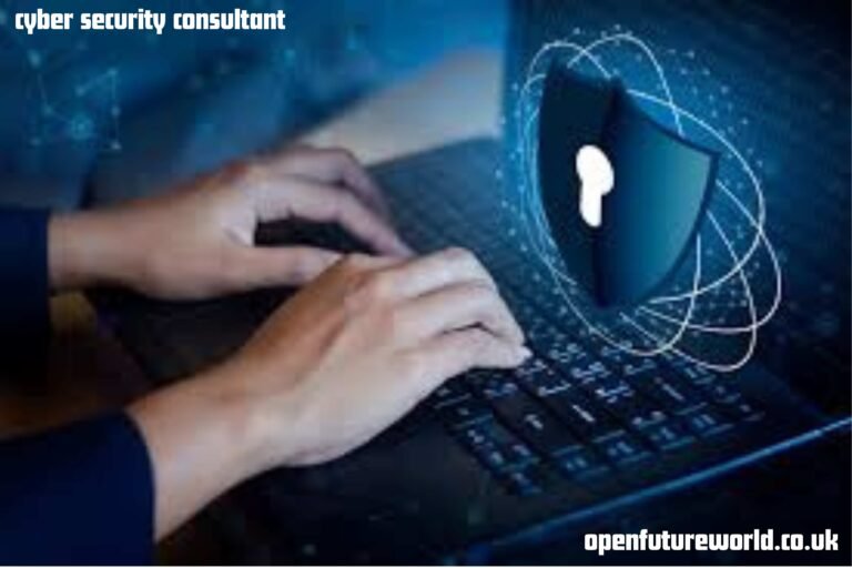 cyber security consultant