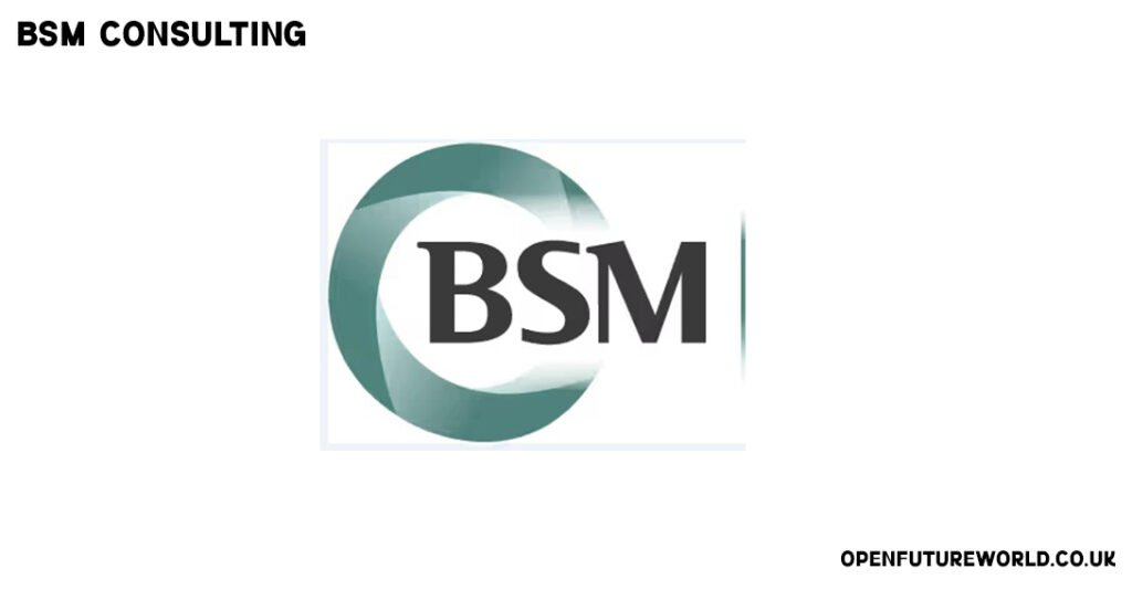 BSM Consulting