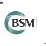 BSM Consulting