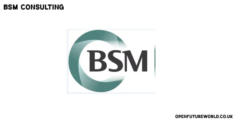 BSM Consulting
