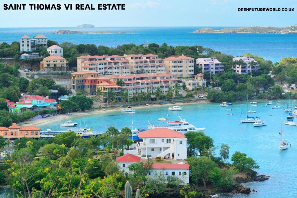 Saint Thomas VI Real Estate